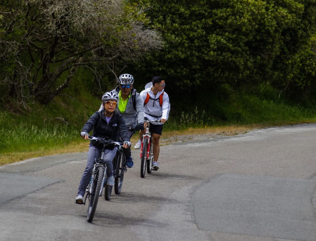 Three cyclists wearing helmets and sunglasses riding their mountain bikes down a paved trail lined with green trees and grassy banks.
