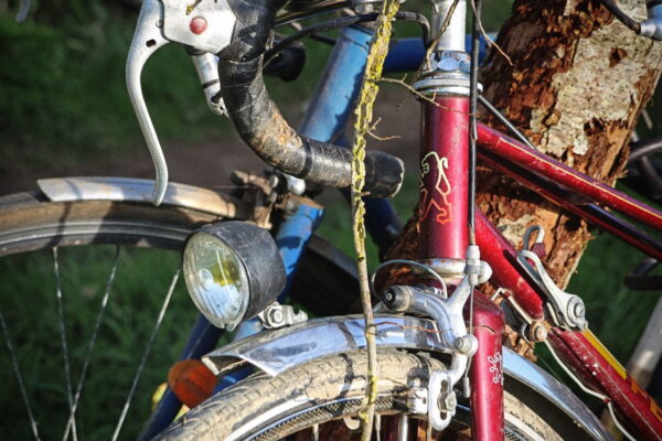 A close-up shot of the front of a vintage red Peugeot bicycle showing the iconic lion logo on the head tube, classic drop handlebars, a chrome fender, and a mounted front headlight.